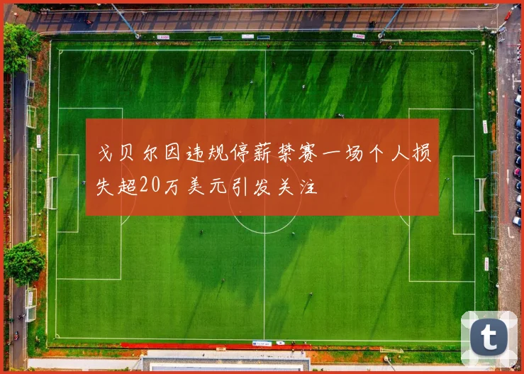 戈贝尔因违规停薪禁赛一场个人损失超20万美元引发关注