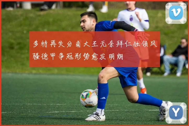 多特再失分南大王无奈拜仁独领风骚德甲争冠形势愈发明朗