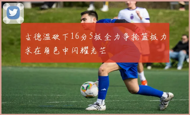 古德温砍下16分5板全力争抢篮板力求在角色中闪耀光芒